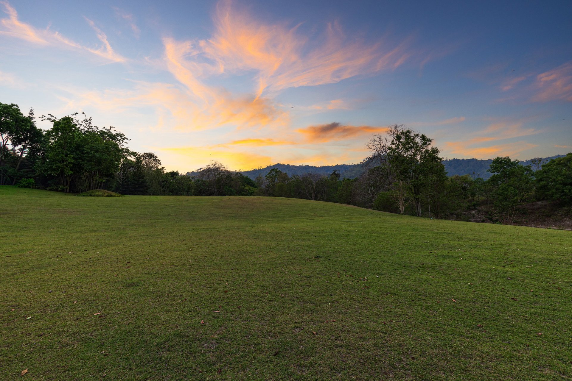 Beautiful landscape of a lush green meadow on a hill during golden hour with vibrant sunset sky and mountain silhouettes